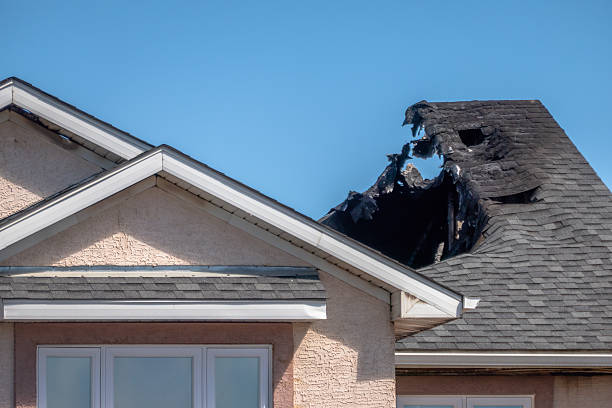 Top rated local Fire Damage Removal specialists in Irving, TX